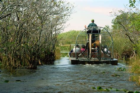 10 Best Swamp Tours In Louisiana Nomadic News