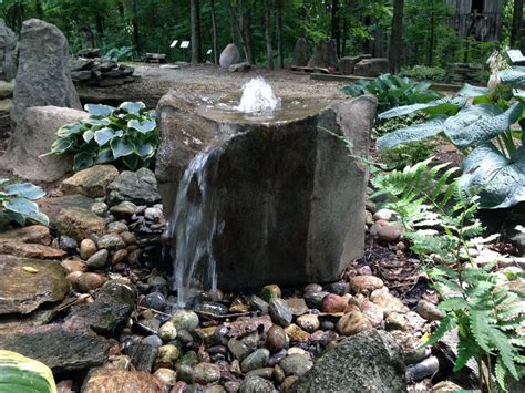 Chemical control is recommended but can be cost prohibitive. INSPIRING DO-IT-YOURSELF WATER GARDEN CONCEPTS | Water fountains outdoor, Water features in the ...