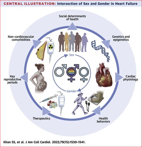 Sex Based Differences In Heart Failure Jacc Focus Seminar 7 7 Journal Of The American College