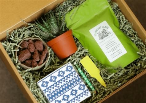 Best reviews guide analyzes and compares all bulb planters of 2021. 8 Plant Subscription Boxes You'll Love to Unbox - Birds ...