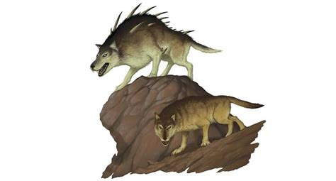 Dire Wolf 5e Guide Everything You Need To Know Explore Dnd