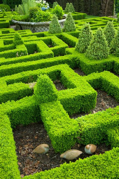 Which fence or hedging plants have impressed you most and why? How to Build a Knot Garden (40 Photo Designs)