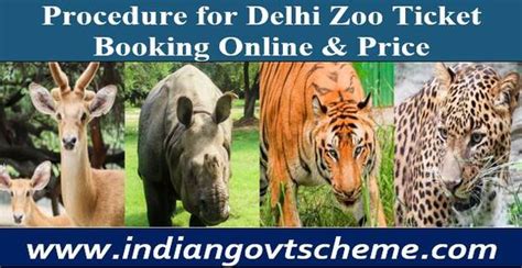 Procedure For Delhi Zoo Ticket Booking Online And Price