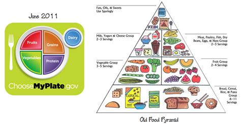 The New Food Pyramid Explained Food Fit People Eat Pinterest Food