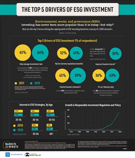 Esg Investing The Top 5 Drivers According To Investors