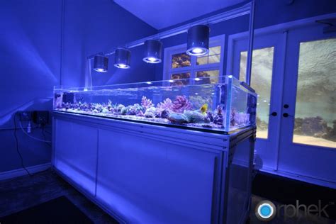 Maybe you would like to learn more about one of these? thumbs diy aquarium led lighting coral reef shop | Diy ...