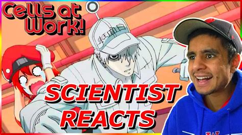 Real Scientist Reacts To Cells At Work Episode 1 Season 1 Cells At