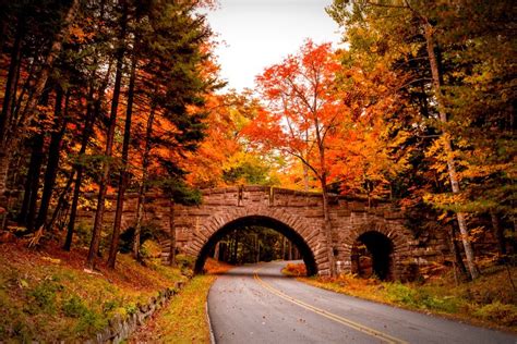 The Best Places To See Maine Fall Foliage Alltherooms