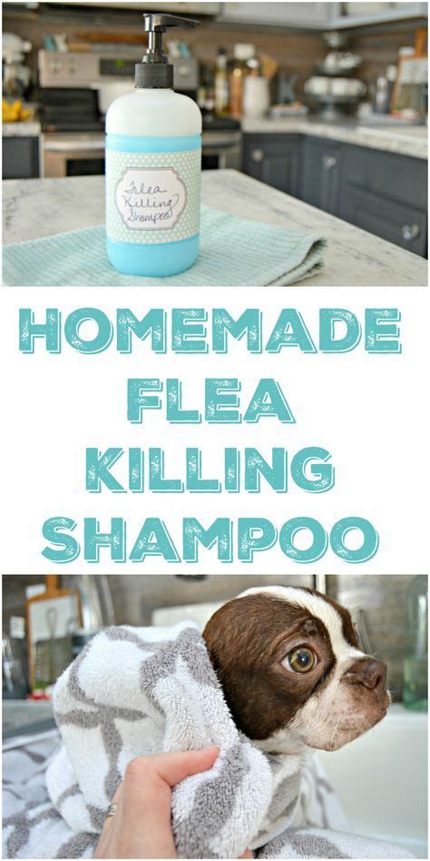 Homemade Pet Shampoo That Kills Fleas And Is Safe For Puppies