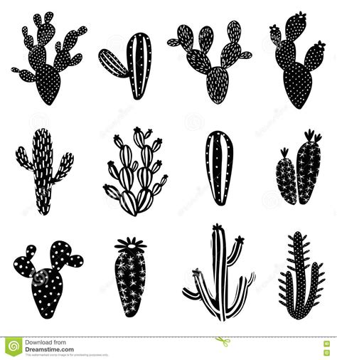 Cactus Silhouette Illustration Set White Background 78773771 1300×