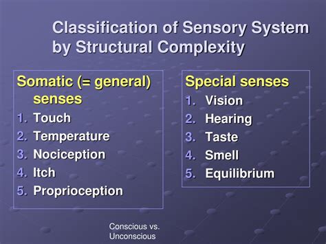Ppt Sensory Overview Powerpoint Presentation Free Download Id3120120
