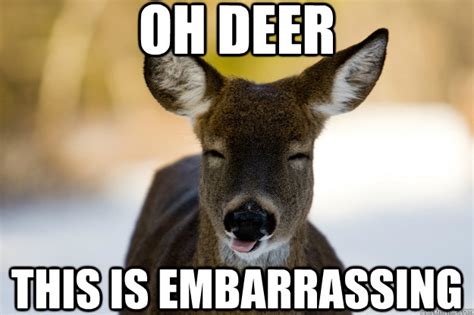 Oh Deer This Is Embarrassing Embarrassed Deer Quickmeme