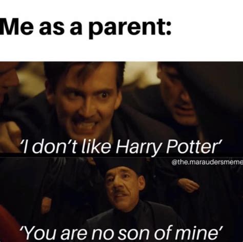 🤣🤣🤣 Rharrypottermemes