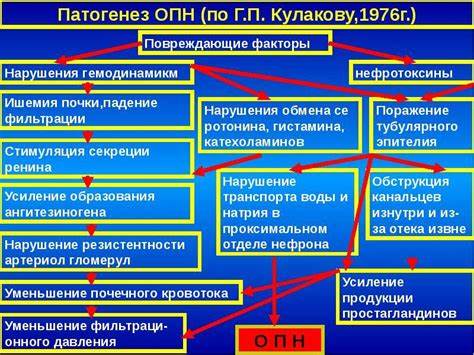 Диета для почечная недостаточность