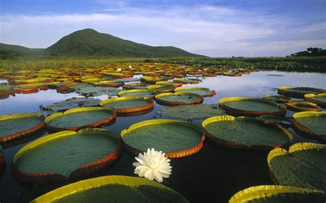 Wetland Wonders 10 Of The Most Significant Wetlands In The World