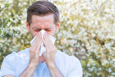Pollen Allergy Attention Allergy Sufferers Hospital Time News