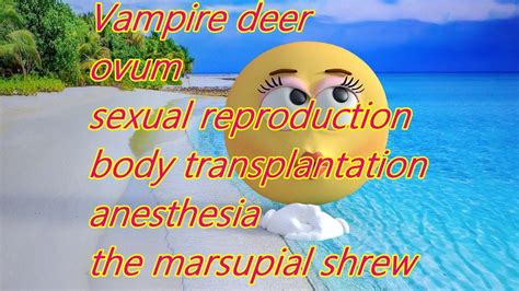 Vampire Deerovumsexual Reproductionbody Transplantation Anesthesia