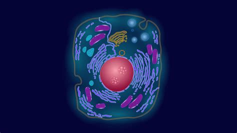 Synthetic Cell Component Expands The Code Of Life In