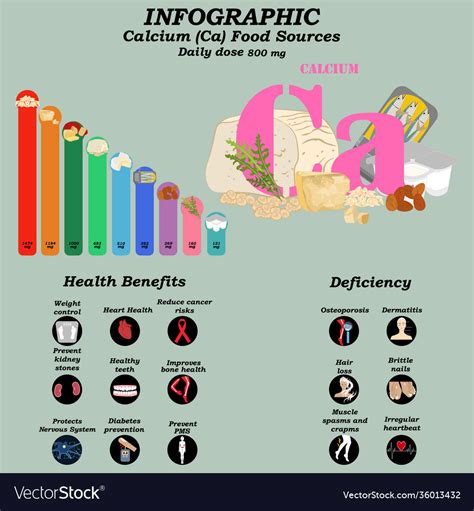 health benefits calcium supplement infographic vector image