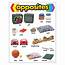 Class Decoratives  T38027 Opposites Learning Chart 17