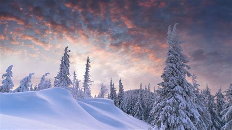 Cool Snow Wallpapers Top Free Cool Snow Backgrounds Wallpaperaccess