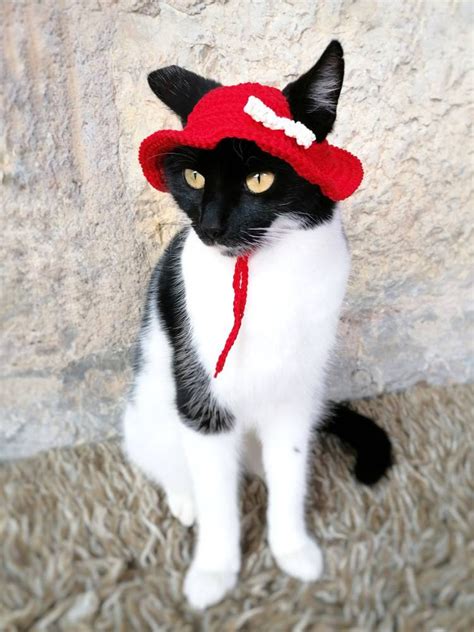 Cotton Summer Hat For Cat Hat Pet Hat Crochet Summer Hat Pet Etsy