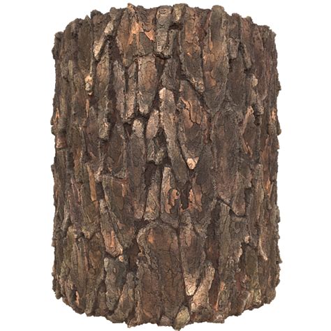 Realistic Tree Trunks Or Bark Texture Free Pbr Texturecan