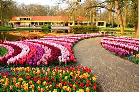 Visiting The Keukenhof Gardens Netherlands Globalmouse Travels