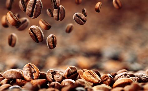 Download Coffee Beans Background Gallery Yopriceville High Quality By