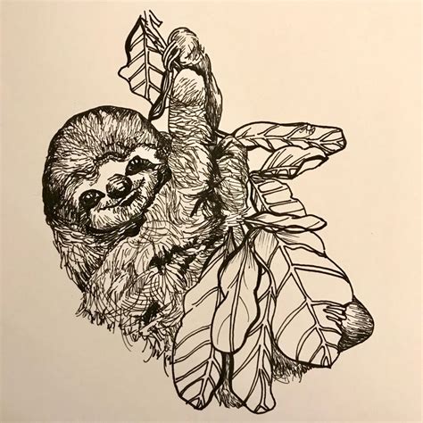 Sloth Drawing Pen On Paper Animal Art Pen Illustration Animal Art