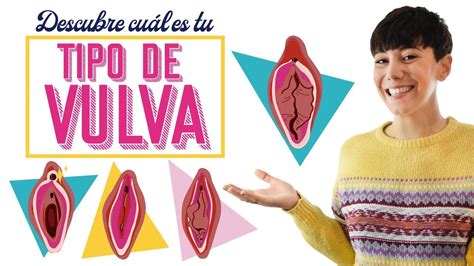 Los Tipos De Vulva Que Debes Conocer Descubre La Tuya Redlights Es Youtube