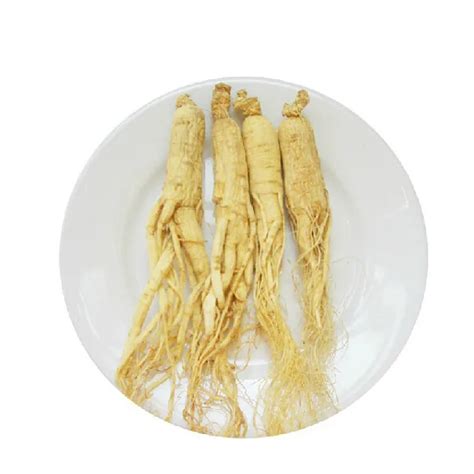 1 kg herbal tea panax dried white ginseng root with tail in slimming creams from beauty and health