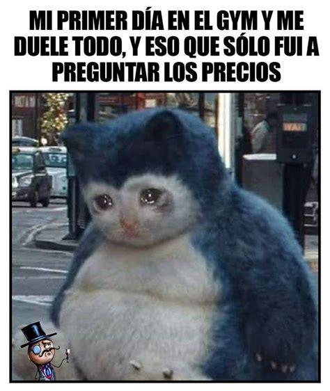 Check spelling or type a new query. No puede ser | Memes divertidos, Meme gracioso, Memes ...