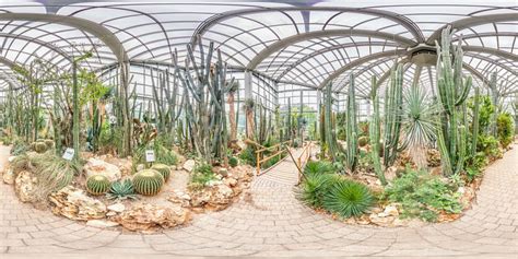 Botanischer garten sammlung des botanischen gartens. Palmengarten in Frankfurt am Main - Botanischer Garten