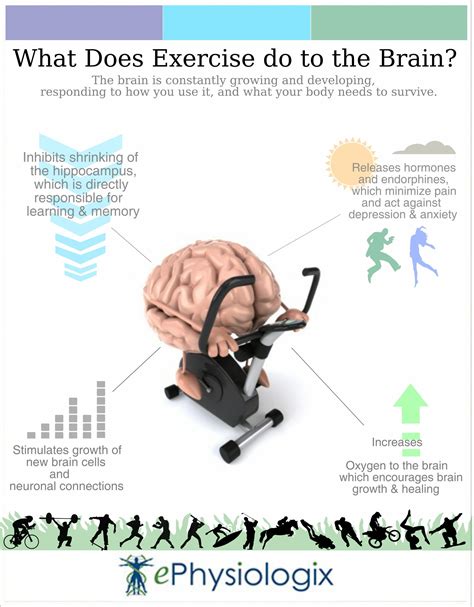 What Are The Benefits Of Exercise For The Brain Find Out The Long Term