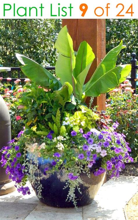 24 Stunning Container Garden Planting Ideas A Piece Of