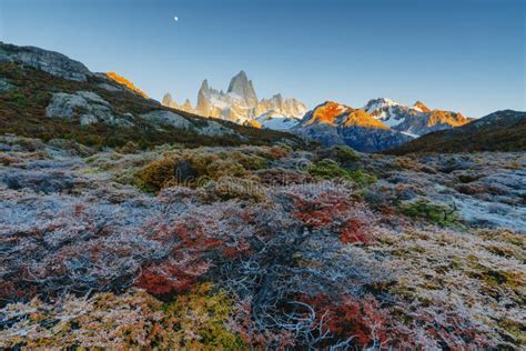 View Of Mount Fitz Roy And The Bush In The National Park Los Glaciares