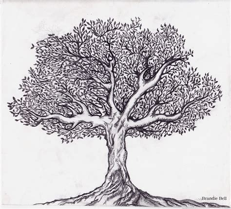 Tree Sketch Clipart In 2020 Tree Sketches Black And White Tree Tree