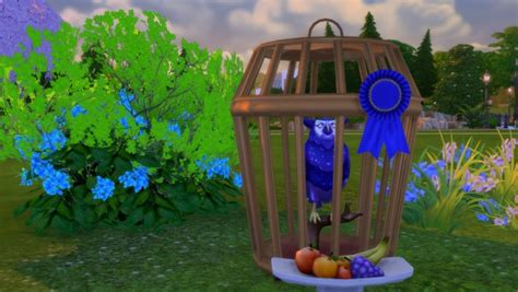 Mod The Sims Sturdy Birdie Bird Cage By Snowhaze • Sims 4 Downloads