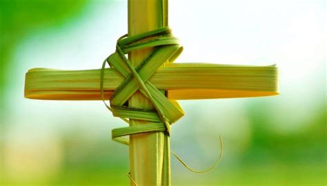 Palm sunday images that are readily available on the internet, you can make your wish even more attractive. 7 Incredible Things You Didn't Know About Palm Sunday