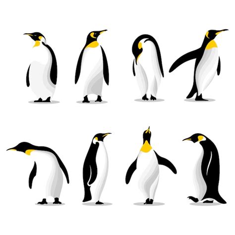 Premium Vector Cute Penguins In Different Poses Illustration Set