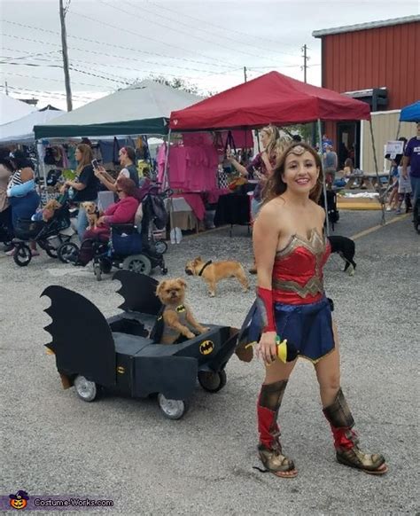 Wonder Woman And Batman Costume Mind Blowing Diy Costumes