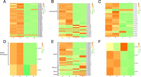 Tissue And Sex Specific Expression Profiles Of Chemosensory Genes In Download Scientific