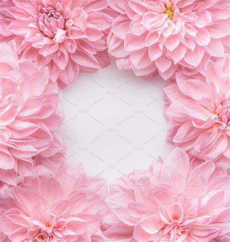 Image about photography in pastel pink aesthetics by madi. Free photo: Pink Flowers - Bloom, Flower, Pink - Free ...