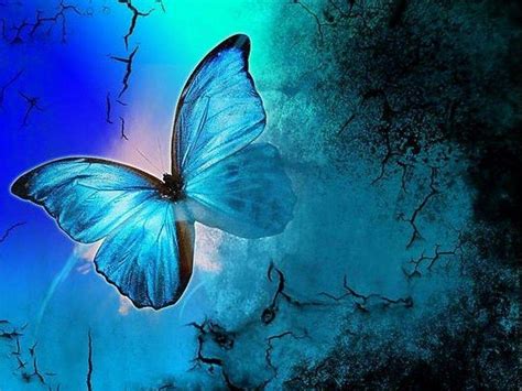 Blue Butterfly Aesthetic Wallpapers Top Free Blue Butterfly Aesthetic