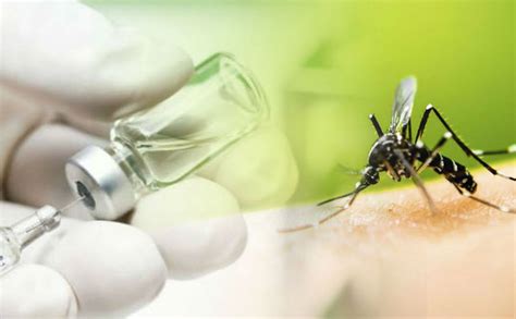 La fiebre amarilla se puede prevenir con una vacuna segura y eficaz. Facultad de Medicina y Ciencia | USS 2020