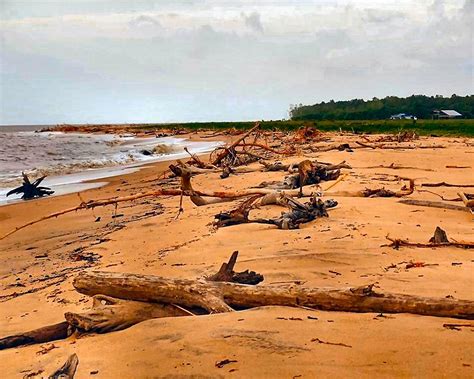 Suriname Beach Debris Travel With Jan