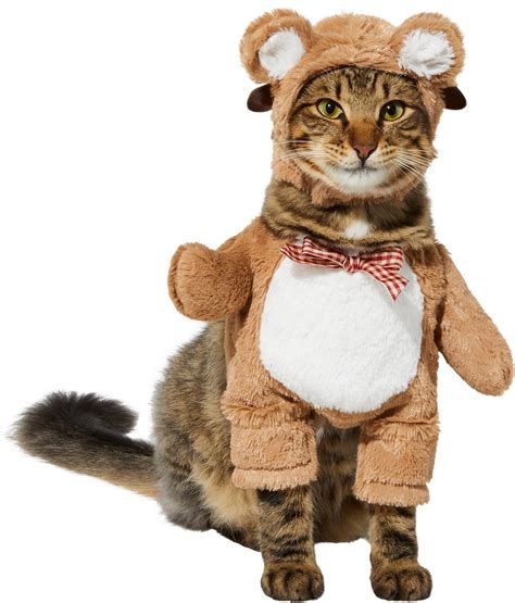 Frisco Front Walking Teddy Bear Dog And Cat Costume X Small