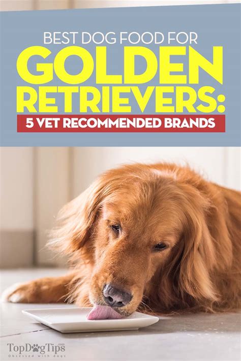 Your veterinarian can provide you with the best options to make sure your puppy gets everything it needs to grow healthy and active. Best Dog Food for Golden Retrievers: 5 Vet Recommended ...