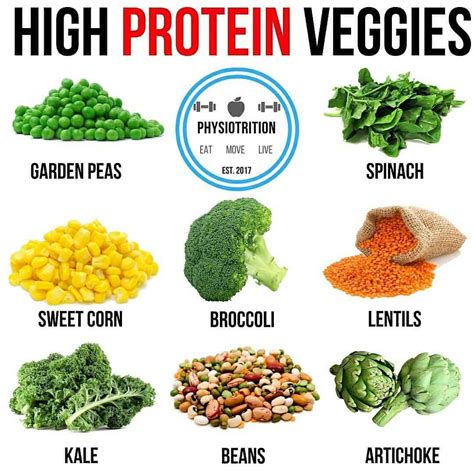 Protein Veggies By Physiotrition 🍗 🔥here Are 8 Examples Of Some Of